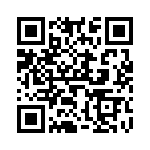 V300B48T250BG QRCode