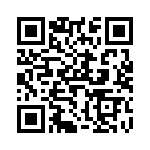 V300C28T75BL QRCode