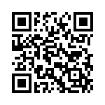 V50651540000G QRCode