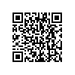 VG95234B1-18-1PN QRCode