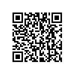 VG95234B1-22-2P1X QRCode