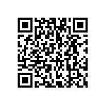 VG95234B1-24-10PN QRCode