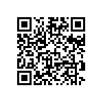 VG95234B1-24-28PY QRCode