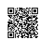 VG95234B1181PN1 QRCode