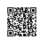 VG95234B12821SY QRCode