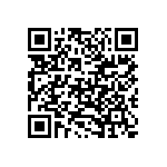 VG95234B2-16-10PN QRCode