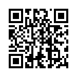 VG95234B2321PN QRCode