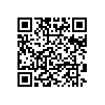 VG95234E-16-10SW QRCode