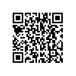 VG95234E-22-2P1N QRCode