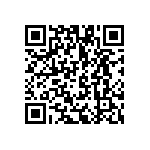VG95234G20A48SY QRCode