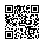 VG95234KT32 QRCode