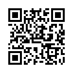 VG95234M181PN1 QRCode