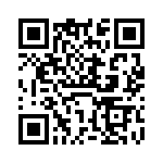 VI-B11-IX-S QRCode