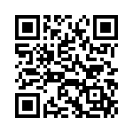 VI-B1Y-EY-B1 QRCode