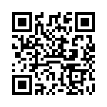 VI-B3B-IV QRCode