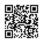 VI-B3R-IV-B1 QRCode