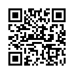 VI-B3T-EW-B1 QRCode