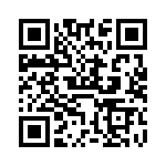 VI-B3T-EY-B1 QRCode