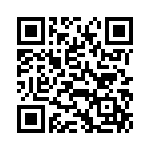 VI-B3T-IY-B1 QRCode