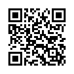 VI-B3X-IY-B1 QRCode