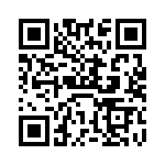 VI-B3Y-EV-B1 QRCode