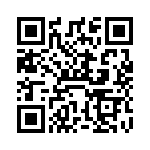 VI-BTK-EV QRCode