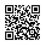 VI-J11-IX-B1 QRCode