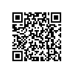 VJ0402D0R4BLAAC QRCode