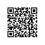 VJ0402D0R4CLAAP QRCode