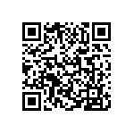 VJ0402D4R3BXBAC QRCode