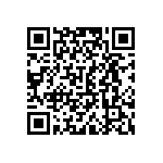 VJ0805D301GLXAT QRCode