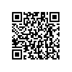 XE1203SKC915XE2 QRCode