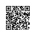 XMLBWT-00-0000-0000T6053 QRCode