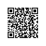 Y00131K20000V0L QRCode