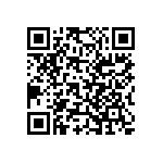 Y092510R0000B0L QRCode