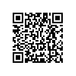 Y09251K60000B9L QRCode