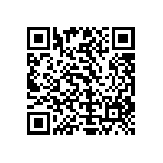 Y11211K20000T13R QRCode