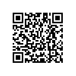 Y11211K45800T9R QRCode