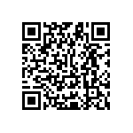 Y11691K20000T9R QRCode