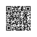 Y11691K55200T9R QRCode