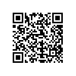 Y116940K0000T13R QRCode