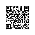 Y11721K70000T9R QRCode