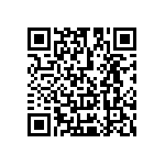 Y162330R0000B0L QRCode