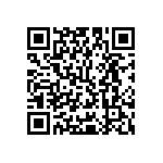 Y16241K06000T9R QRCode