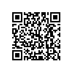 Y16241K95000B9R QRCode