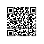 Y16243K65000T9R QRCode