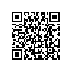 Y16243K90000B24W QRCode