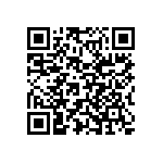 Y16245K80000T9R QRCode