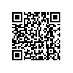 Y16251K20200T0R QRCode