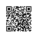 Y16254K30800T9W QRCode